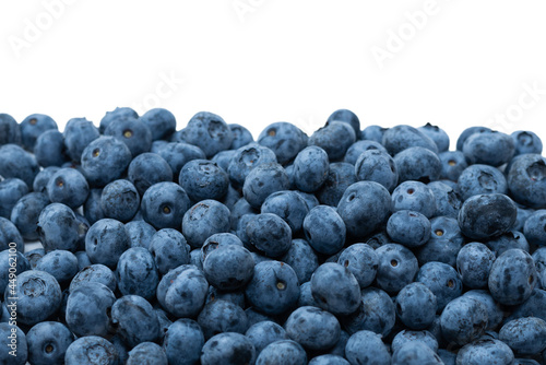 Group of fresh blueberry isolated on a white background.