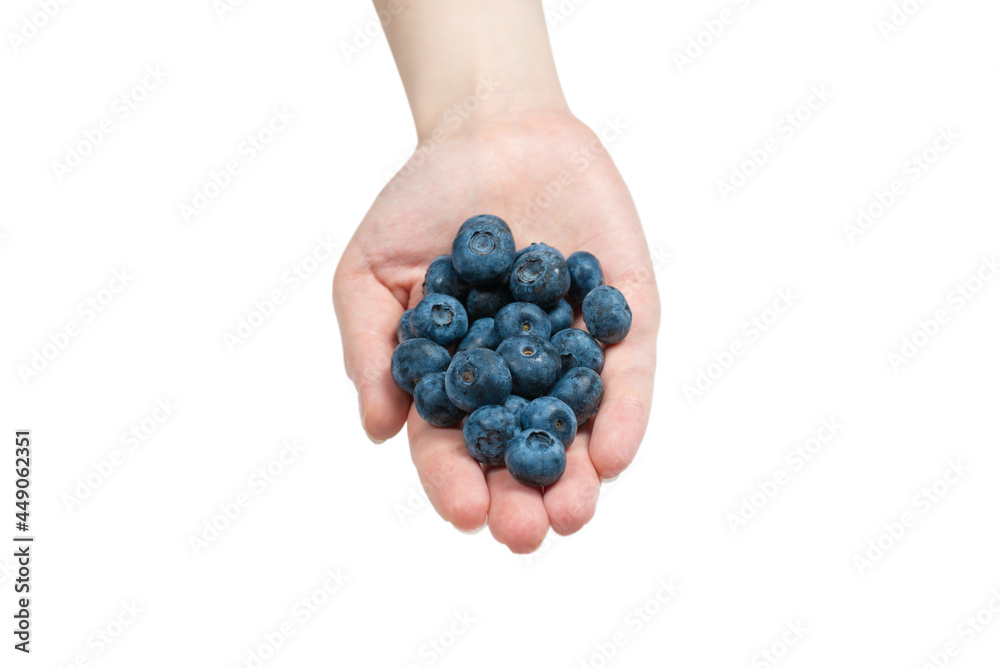 Bluepberry kept in hands isolated on white background. Bluepberry kept in hands isolated on white background.
