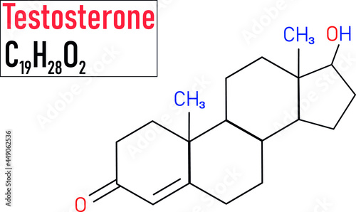 Chemical molecular formula hormone testosterone. Infographics illustration. 