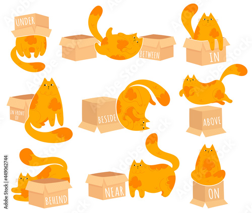 Learning prepositions of place. Funny fat cat character and paper box. Educational grammar rules. Hand drawn vector illustration. Cute kitty isolated on white. Studying foregin language concept.
