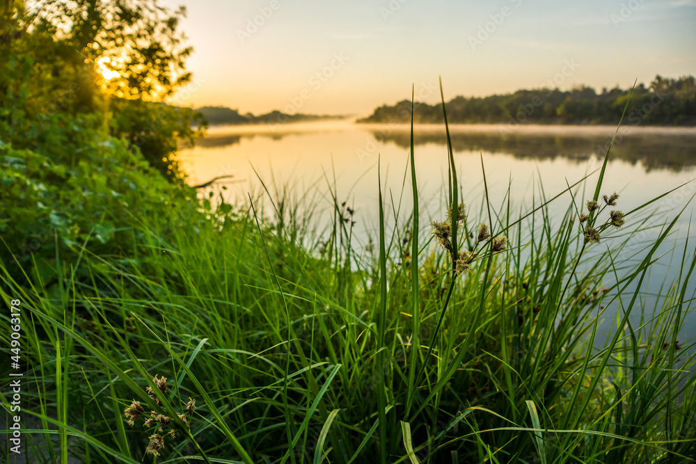 Quiet summer morning on the river