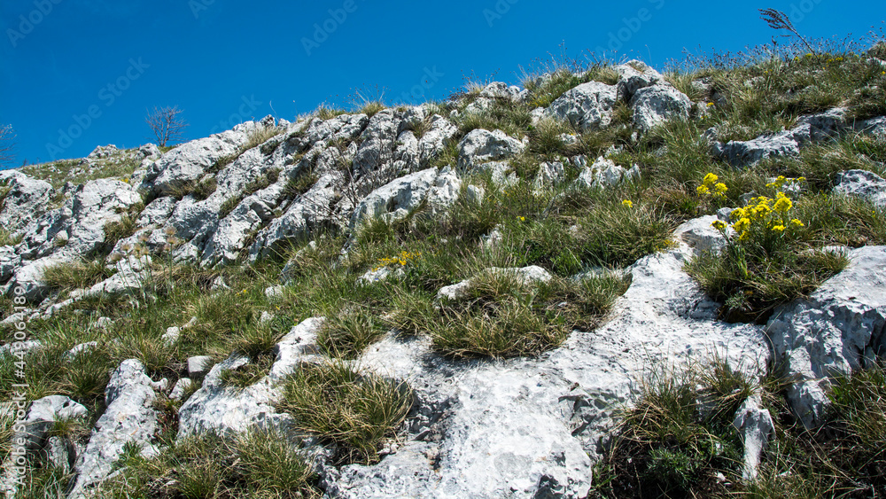 Beautiful landscape, Suva Planina (The dry mountain), Serbia Beautiful landscape, Suva Planina (The dry mountain), Serbia