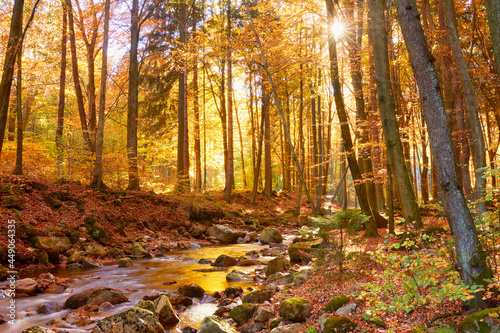 wunderschönes Licht im Harz an der Ilse