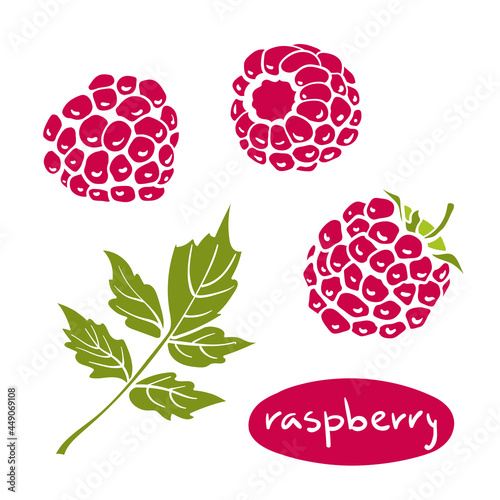Raspberry. Colorful paper cut collection of fruits and berries isolated on white background. Doodle hand drawn fruits. Vector illustration