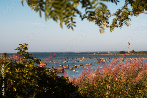 Beautiful hidden places near city of Tallinn, capital of Estonia, Europe. Summer outdoor activities by the Baltic Sea photo