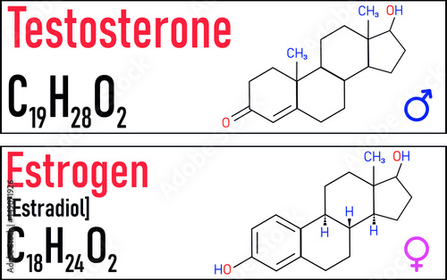 Estrogen and testosterone hormones symbol. Sex horamones molecular chemical formula.