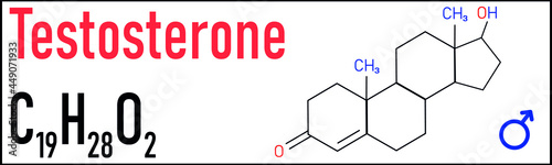 Chemical molecular formula hormone testosterone. Infographics illustration. 