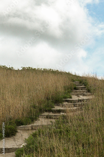 path to the sky