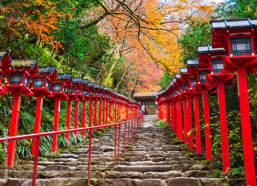 Obraz na płótnie 秋の京都 貴船神社 w salonie