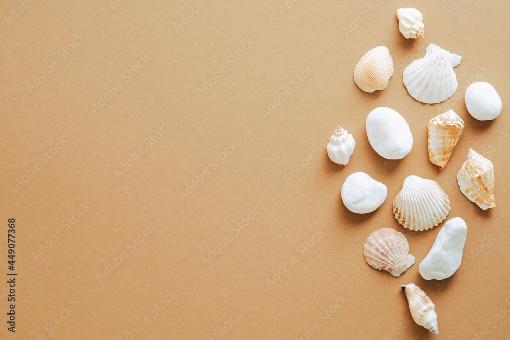 Seashells set on sand colored background. Flat lay, top view. Summer, vacation concept