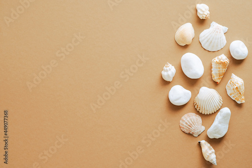 Seashells set on sand colored background. Flat lay, top view. Summer, vacation concept © photoguns