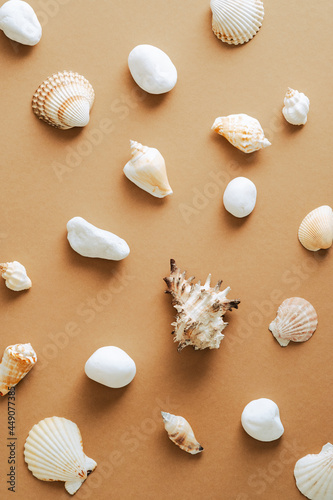 Seashells set on sand colored background. Flat lay, top view. Summer, vacation concept. © photoguns