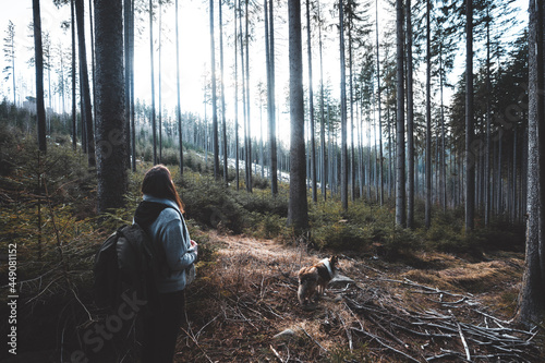 woman traveler with backpack and dog looking at woods, Czech republic