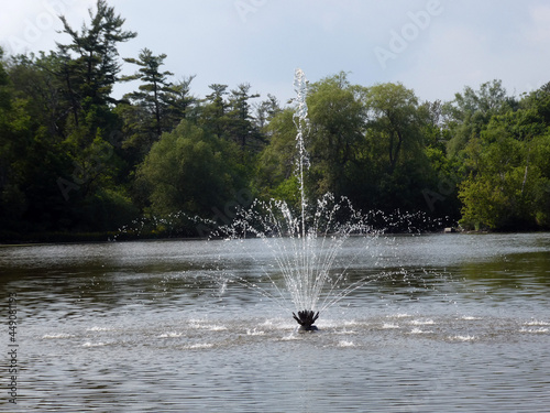 Fountain in the park