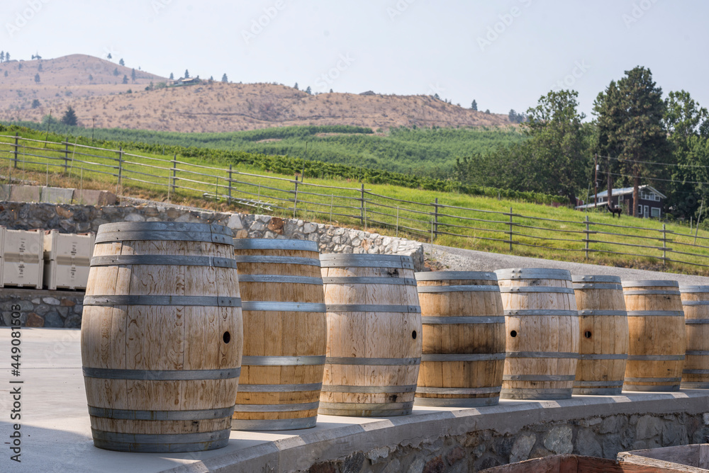 Wine barrels at a winery in eastern Washington state on a sunny summer day08102014_2948. Wine barrels at a winery in eastern Washington state on a sunny summer day08102014_2948.