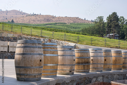 Wine barrels at a winery in eastern Washington state on a sunny summer day.