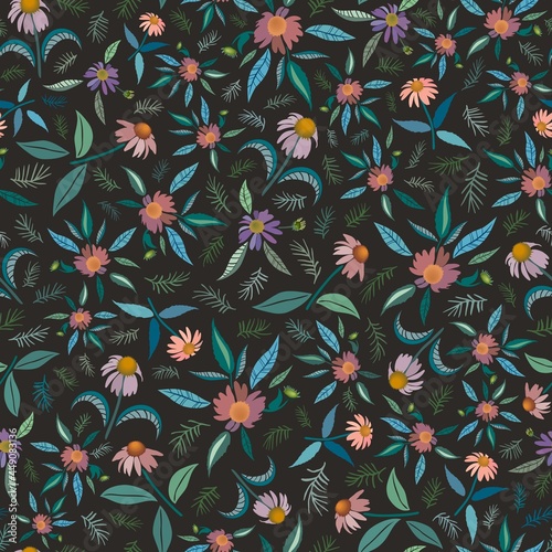 Coneflower field herbal medicine and aromatherapy concept. Flowers with leaves and evergreen twigs in pastel hues on dark background. Echinacea, commonly called coneflower is a prairie medicinal plant