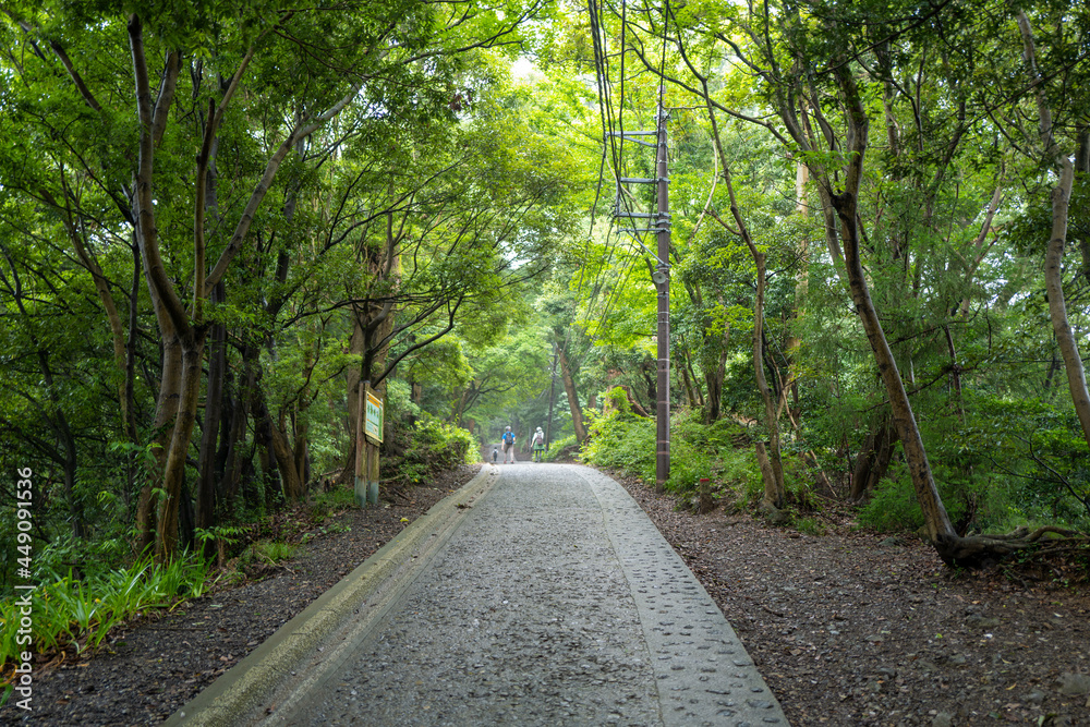 東京都八王子市の高尾山を登山している風景 Scenery of climbing Mt. Takao in Hachioji City, Tokyo. 東京都八王子市の高尾山を登山している風景 Scenery of climbing Mt. Takao in Hachioji City, Tokyo.