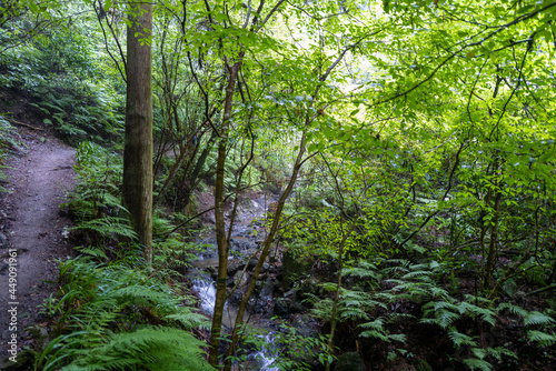                                                              Scenery of climbing Mt. Takao in Hachioji City  Tokyo.