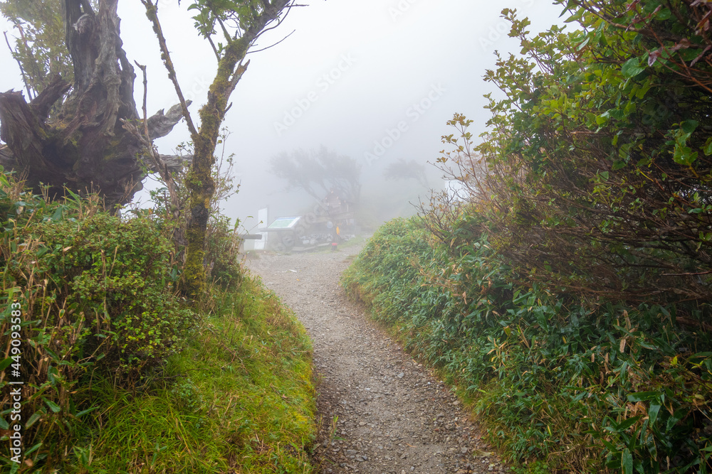 Obraz premium 徳島県美馬市、三好市、那賀町にある剣山を登山している風景 Scenery of climbing Mount Tsurugi in Mima City, Miyoshi City, and Naka Town, Tokushima Prefecture.