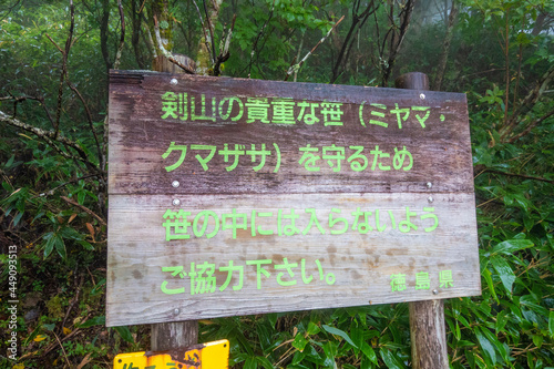 徳島県美馬市、三好市、那賀町にある剣山を登山している風景 Scenery of climbing Mount Tsurugi in Mima City, Miyoshi City, and Naka Town, Tokushima Prefecture.