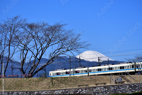 酒匂川河川敷 小田急線と富士山