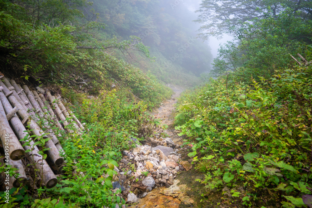 愛媛県西条市にある石槌山を紅葉の季節に登山する風景 A view of climbing Mount Ishizuchi in Saijo City, Ehime Prefecture, during the season of autumn leaves. 愛媛県西条市にある石槌山を紅葉の季節に登山する風景 A view of climbing Mount Ishizuchi in Saijo City, Ehime Prefecture, during the season of autumn leaves.