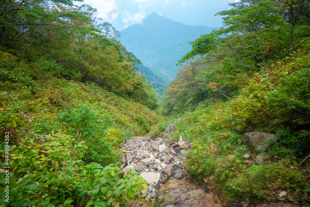 愛媛県西条市にある石槌山を紅葉の季節に登山する風景 A view of climbing Mount Ishizuchi in Saijo City, Ehime Prefecture, during the season of autumn leaves. 愛媛県西条市にある石槌山を紅葉の季節に登山する風景 A view of climbing Mount Ishizuchi in Saijo City, Ehime Prefecture, during the season of autumn leaves.
