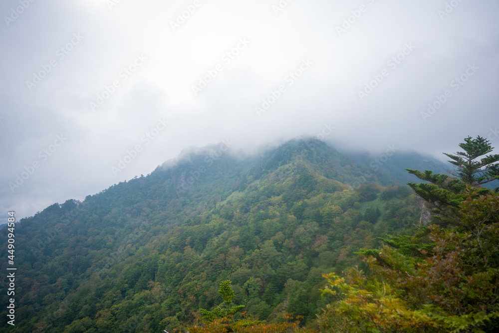 愛媛県西条市にある石槌山を紅葉の季節に登山する風景 A view of climbing Mount Ishizuchi in Saijo City, Ehime Prefecture, during the season of autumn leaves.