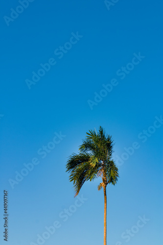 Hermoso cielo azul sin nubes, en Yurimaguas, Loreto - Perú