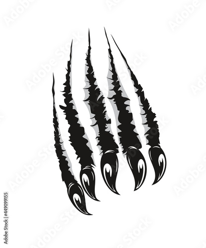 Grizzly bear claw marks scratches. Predator animal, monster or wild beast sharp claws ripping paper or breaking through wall. Halloween vector background with werewolf claws marks