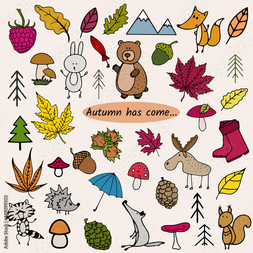 Autumn doodle, simple icons, cute forest animals