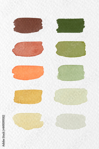 Colorful watercolor brush strokes vector