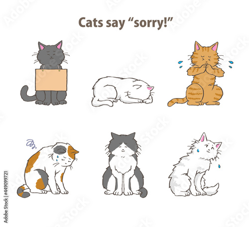 set of funny cartoon cats say sorry for what they`ve done, cats apologize for their mischievous, black, 
 white, tiger, calico, bicolor, persian cats