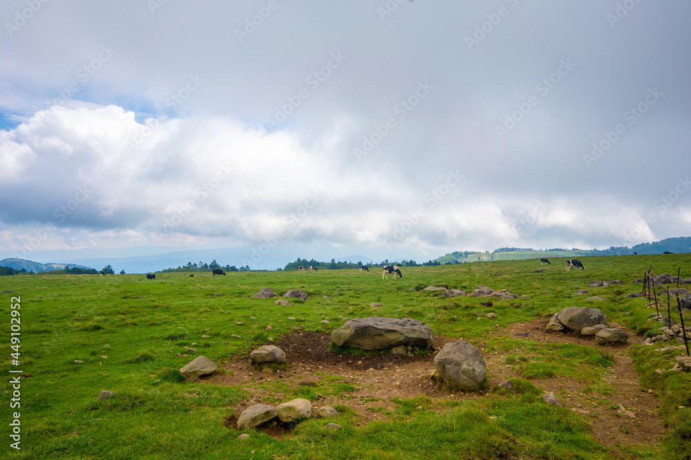 長野県松本市、上田市、小県郡長和町にある美ヶ原を登山する風景 Scenery of climbing Utsukushi-ga-hara in Matsumoto City, Ueda City, and Nagawa Town, Chiisagata-gun, Nagano Prefecture.