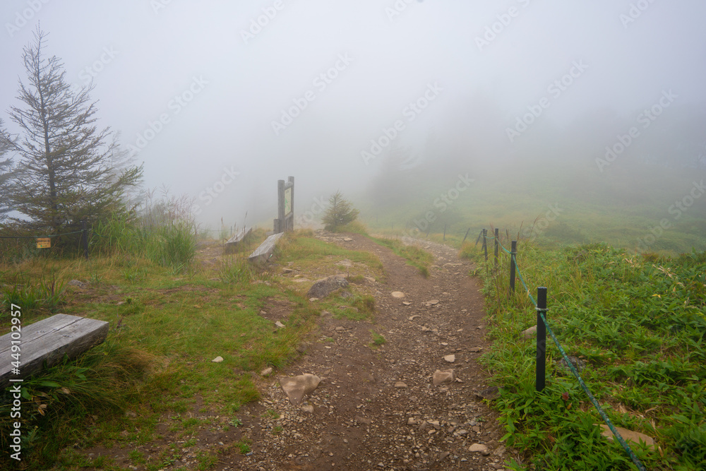 長野県松本市、上田市、小県郡長和町にある美ヶ原を登山する風景 Scenery of climbing Utsukushi-ga-hara in Matsumoto City, Ueda City, and Nagawa Town, Chiisagata-gun, Nagano Prefecture. 長野県松本市、上田市、小県郡長和町にある美ヶ原を登山する風景 Scenery of climbing Utsukushi-ga-hara in Matsumoto City, Ueda City, and Nagawa Town, Chiisagata-gun, Nagano Prefecture.