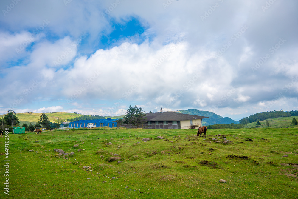 Obraz premium 長野県松本市、上田市、小県郡長和町にある美ヶ原を登山する風景 Scenery of climbing Utsukushi-ga-hara in Matsumoto City, Ueda City, and Nagawa Town, Chiisagata-gun, Nagano Prefecture.