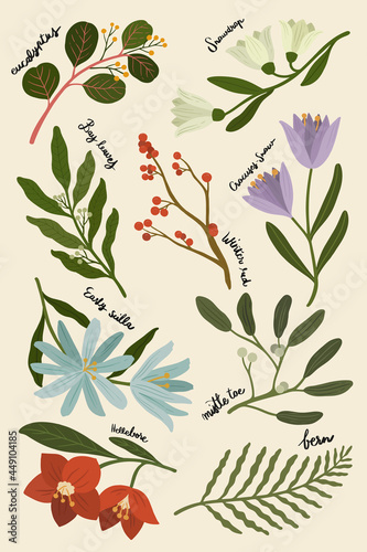 Winter botanicals on a beige phone background illustration