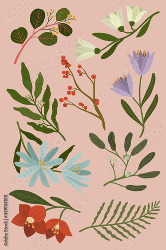 Winter botanicals on a pink background vector