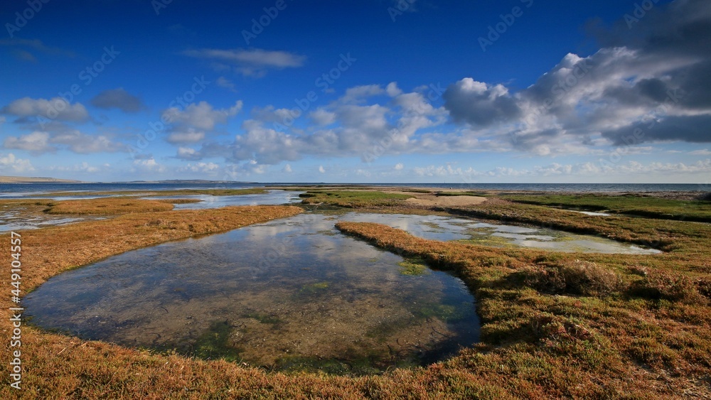 pools of water on the coast