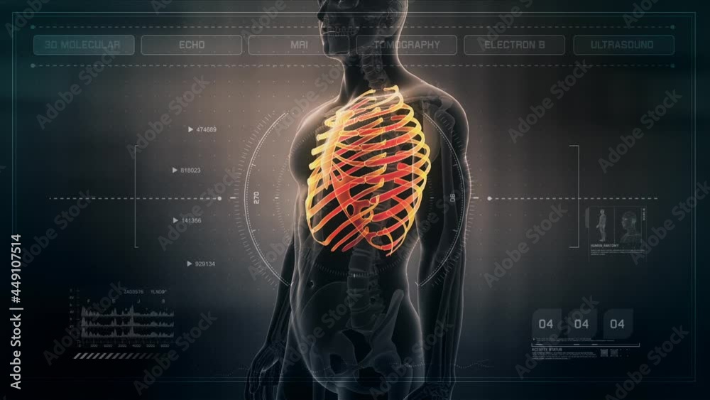 Anatomy of Human Rib Cage on Futuristic Medical Interface dashboard ...