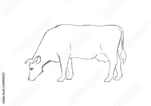 Farm animal. Cow sketch. Hand drawn. Black and white vector illustration isolated on white background.