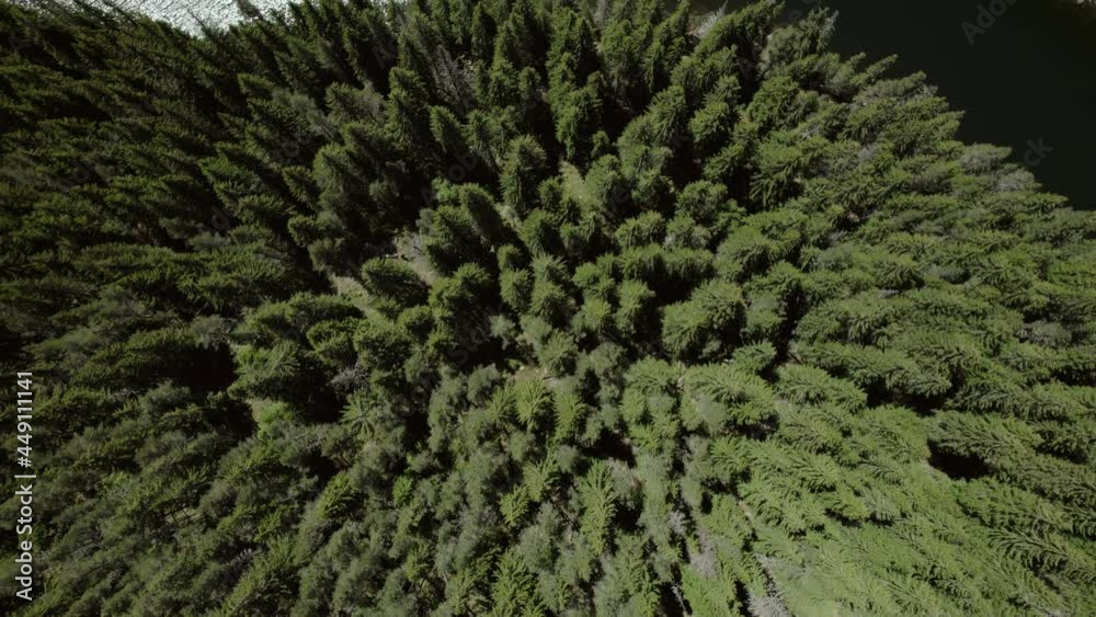 Flying over a pine forest, which is to the shore of a lake.
Тhe location is in Bulgaria dam Duspat. Flying over a pine forest, which is to the shore of a lake.
Тhe location is in Bulgaria dam Duspat.