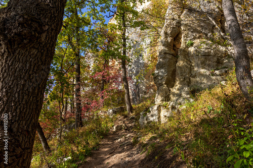 Autumn nature walks through the mountain canyon.