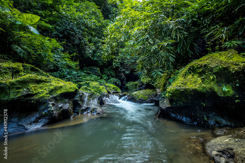 Tropical landscape. River in jungle. Soft focus. Slow shutter speed  motion photography. Nature background. Environment concept. Bangli  Bali  Indonesia