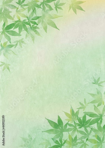 カエデ_和紙_グリーン背景