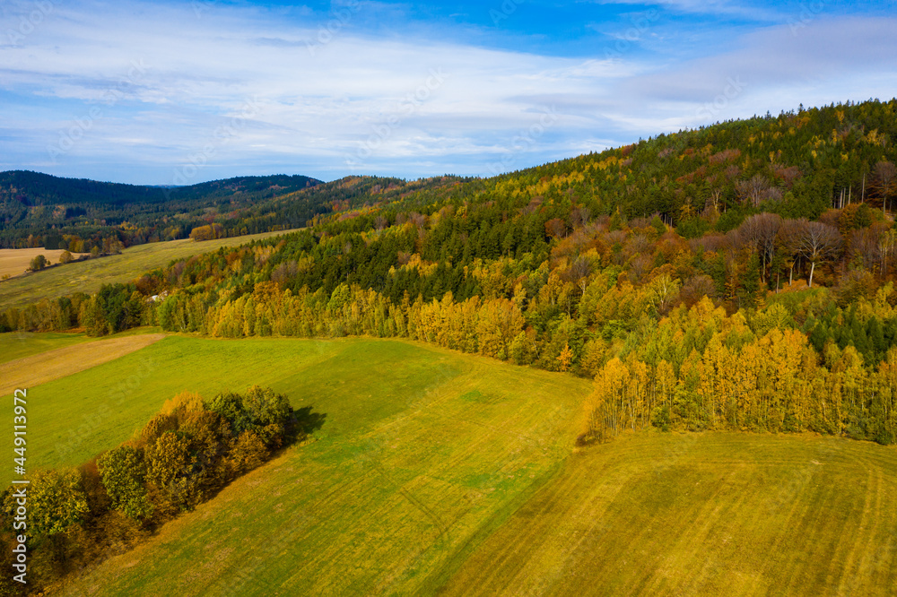 View from drone of undulating forest landscape in sunny autumn day..