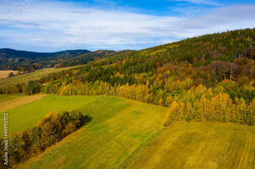 View from drone of undulating forest landscape in sunny autumn day.. © JackF