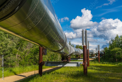 Famous Alaskan Pipeline near Fairbanks, AK, USA photo