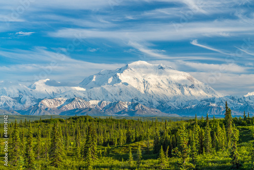 Denali from near Wonder lake